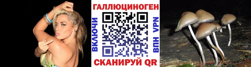 даркнет сайт  Кочубеевское  Псилоцибиновые грибы MAGIC MUSHROOMS 