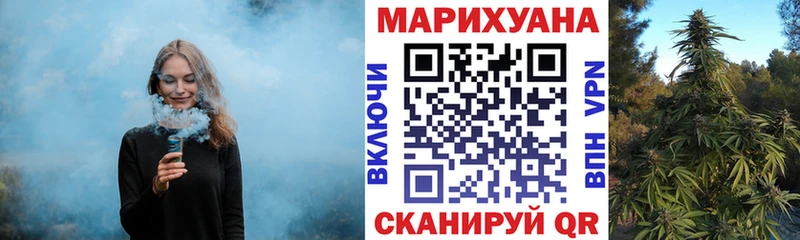 Бошки марихуана план  купить  сайты  Кочубеевское 